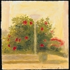 4.Hybiscus and a Lantern no.3 1994